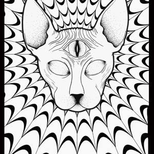 Meet your Posher, Leelan